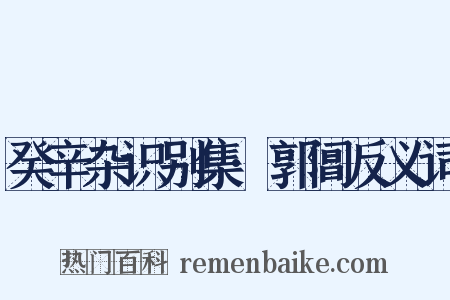 癸辛杂识别集·郭阊反义词是什么意思的图片